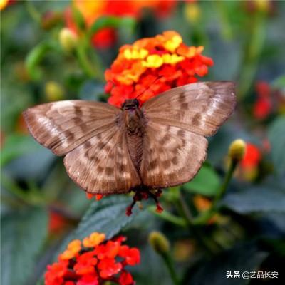 幻境纪元官方版下载
