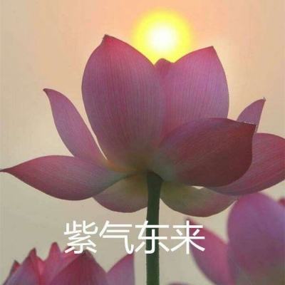 马上三国果盘手游下载